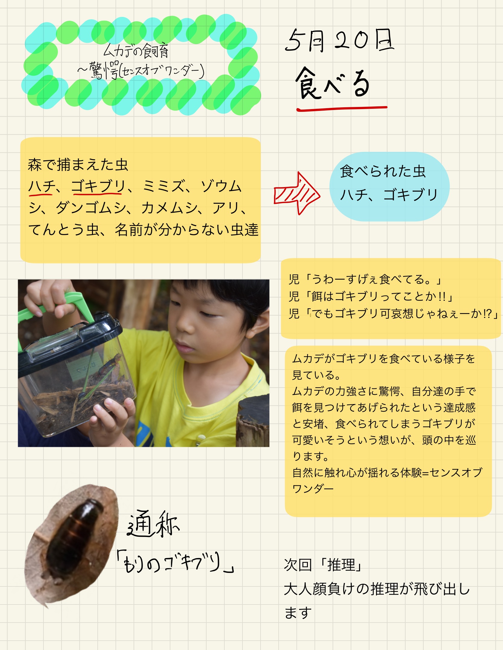 驚愕 センスオブワンダー 5月日 美しの森幼稚園 学校法人石渡学園 あざみ野駅 徒歩5分 驚愕 センスオブワンダー 5月日 美しの森幼稚園 学校法人石渡学園 あざみ野駅 徒歩5分